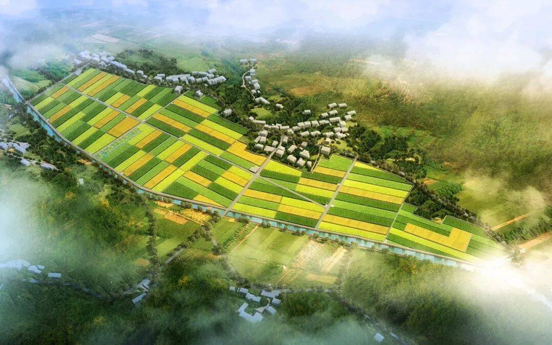 高標(biāo)準(zhǔn)農(nóng)田設(shè)計(jì)