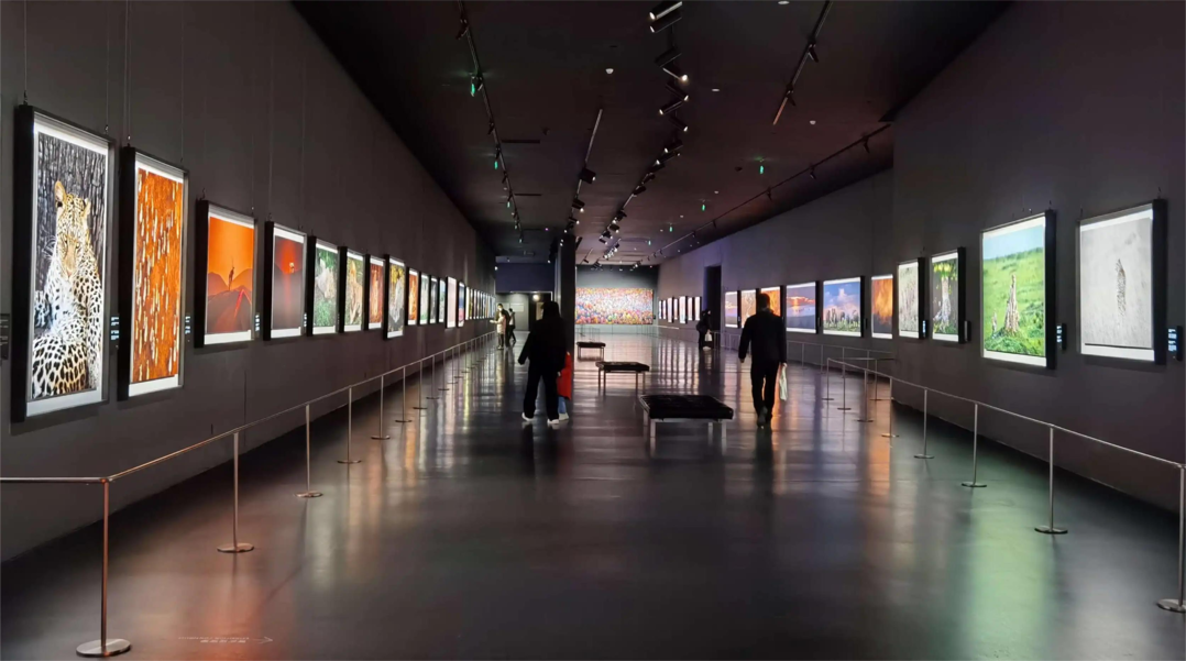 會議展覽展示